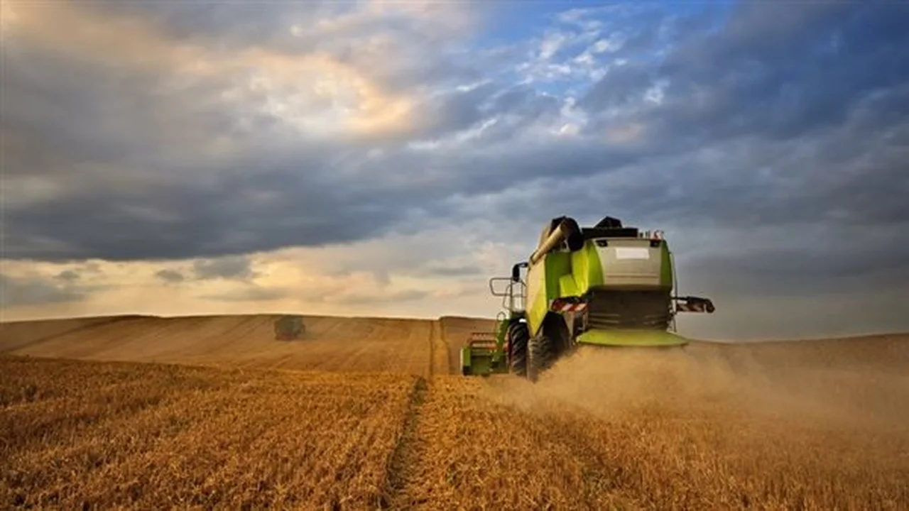 أعلى مستوى تاريخي.. أسعار القمح تقفز ببورصة يورونكست إثر طلبات السعودية والجزائر